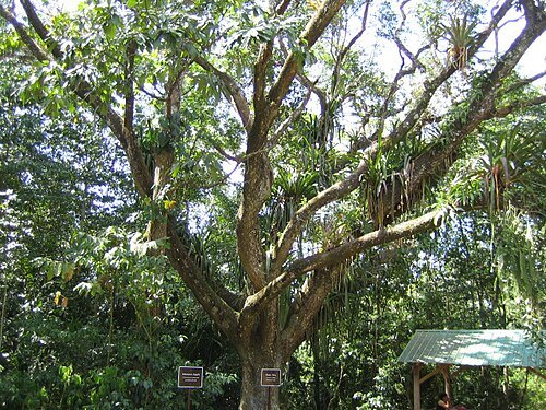 Guanacaste National Park