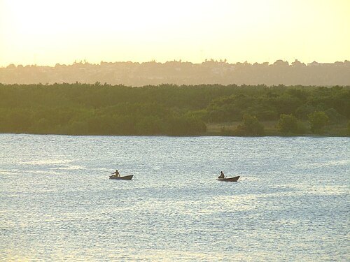 Potengi River